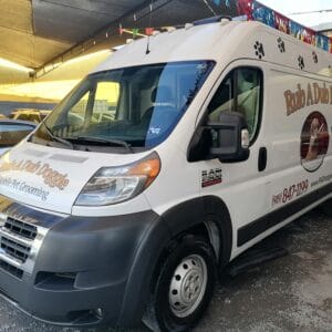 RAM PROMASTER CARGO 2500 2017